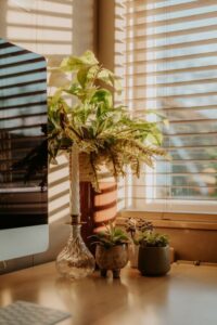 Tips for Creating a Relaxing Home Office Space